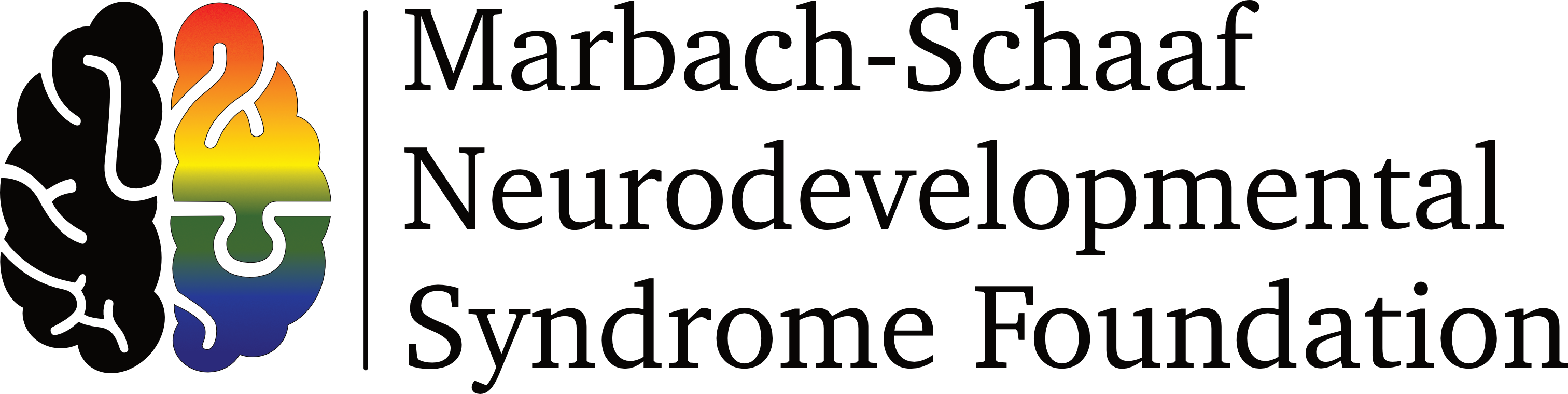 MASNS Foundation, Inc.